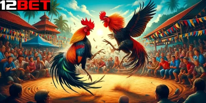 3 mẹo chơi đá gà mạng từ kê thủ tại 12bet