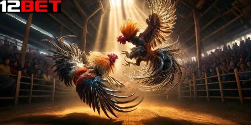 Đá gà cựa sắt
