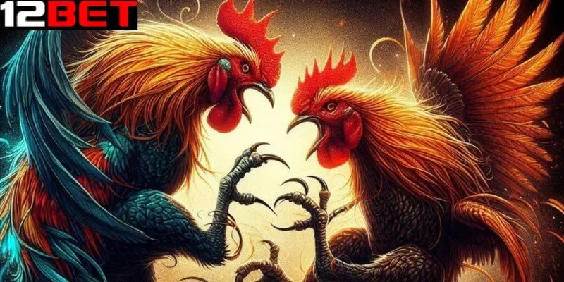Lý do bạn nên chơi đá gà mạng tại 12bet